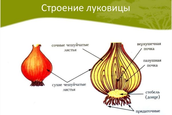 Ссылка в даркнет